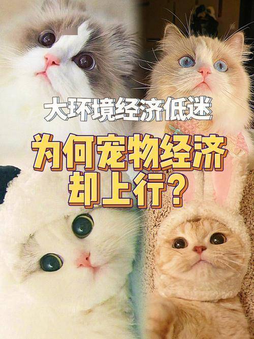 00亿市场背后的“情感刚需”!开元棋牌app宠物经济狂飙60(图3) 00亿市场背后的“情感刚需”!开元棋牌app宠物经济狂飙60(图3)