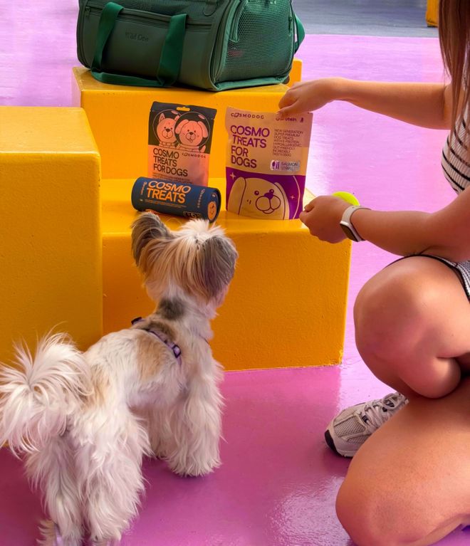 pet宠物零食以昆虫蛋白开辟全新赛道开元棋牌网站中俄联合品牌cosmo(图1) pet宠物零食以昆虫蛋白开辟全新赛道开元棋牌网站中俄联合品牌cosmo(图1)